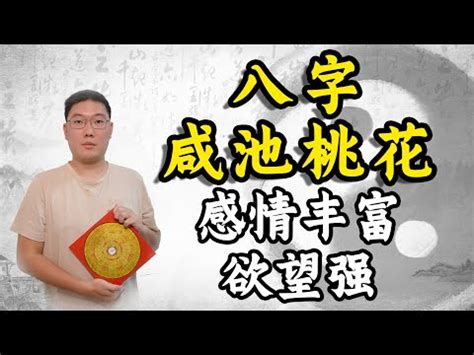 八字 咸池|咸池（桃花煞）